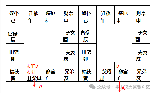 同宫又同星示例:天机生年A离心D