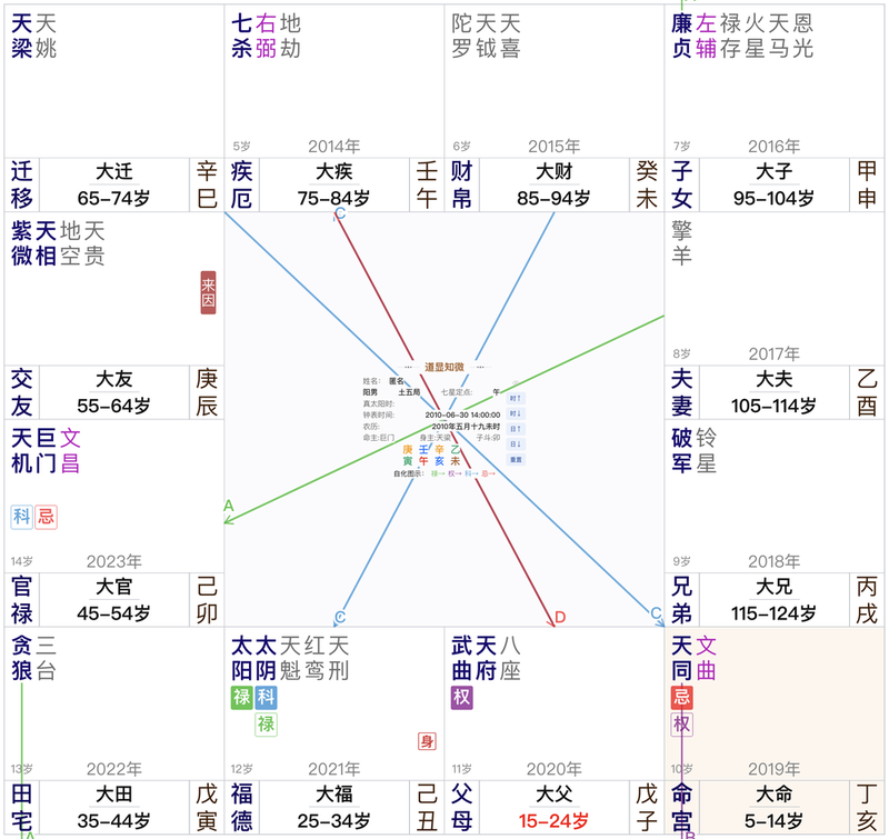 2010年6月30日未时男命本命盘：来因在交友，命宫丁干，一限重点在科