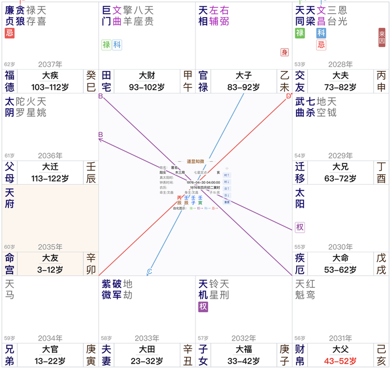 紫微斗数案例：福德巨门禄、疾厄文昌忌，外热内耗的一例